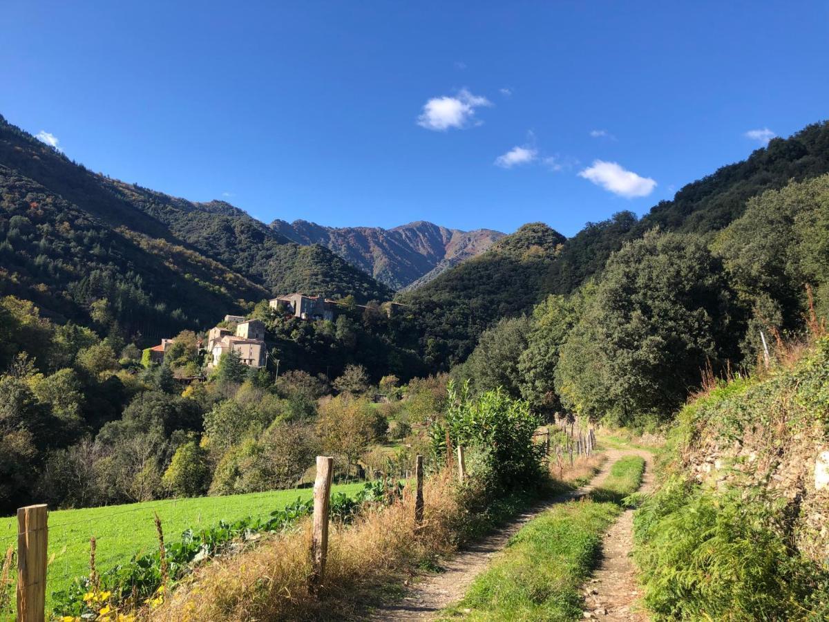Le Moulin De Bouzigue Bed and Breakfast Valleraugue Εξωτερικό φωτογραφία