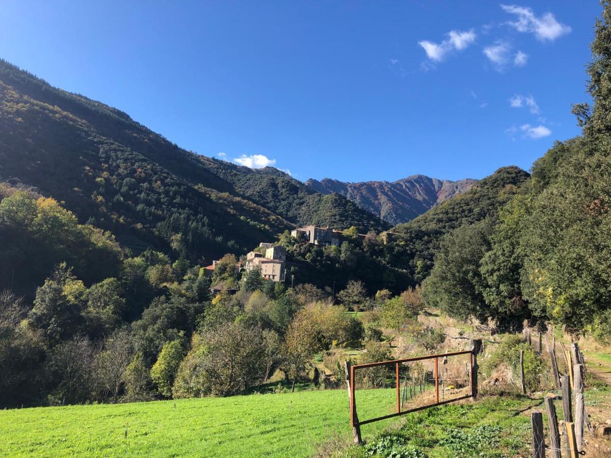 Le Moulin De Bouzigue Bed and Breakfast Valleraugue Εξωτερικό φωτογραφία