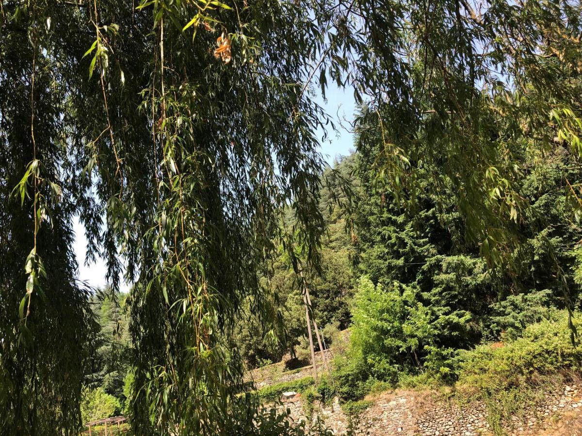 Le Moulin De Bouzigue Bed and Breakfast Valleraugue Εξωτερικό φωτογραφία