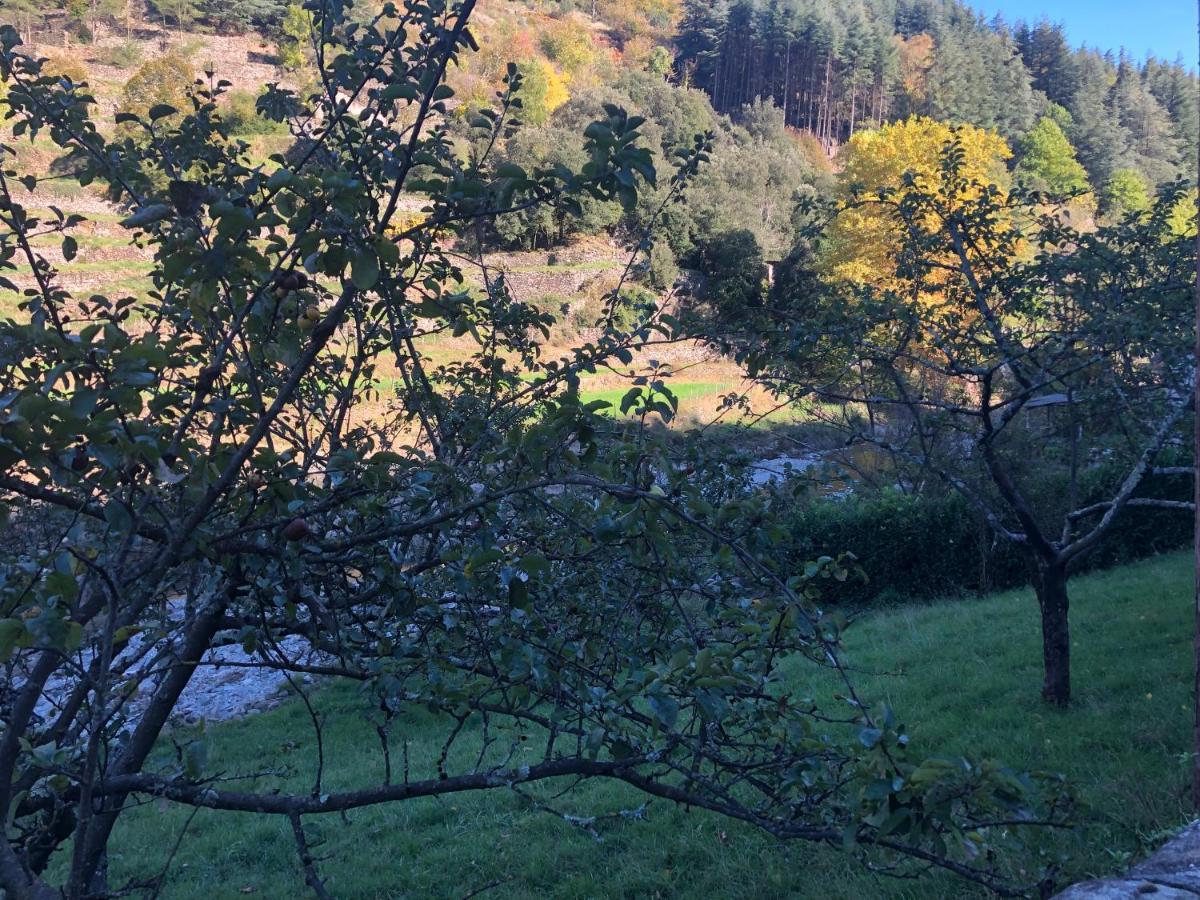 Le Moulin De Bouzigue Bed and Breakfast Valleraugue Εξωτερικό φωτογραφία